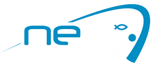 North East Tackle Supplies Logo
